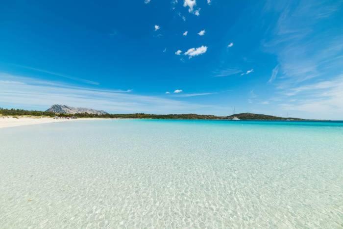 Olbia 53-11 Cin R3659 Appartement Buitenkant foto